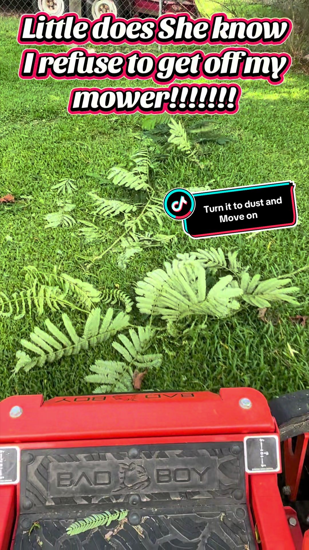 @MrLawnGuy