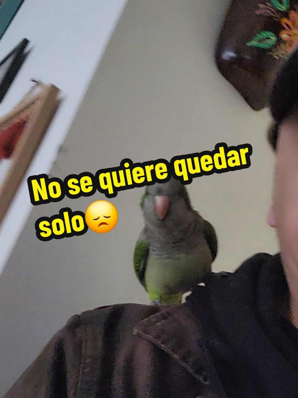 @Nico