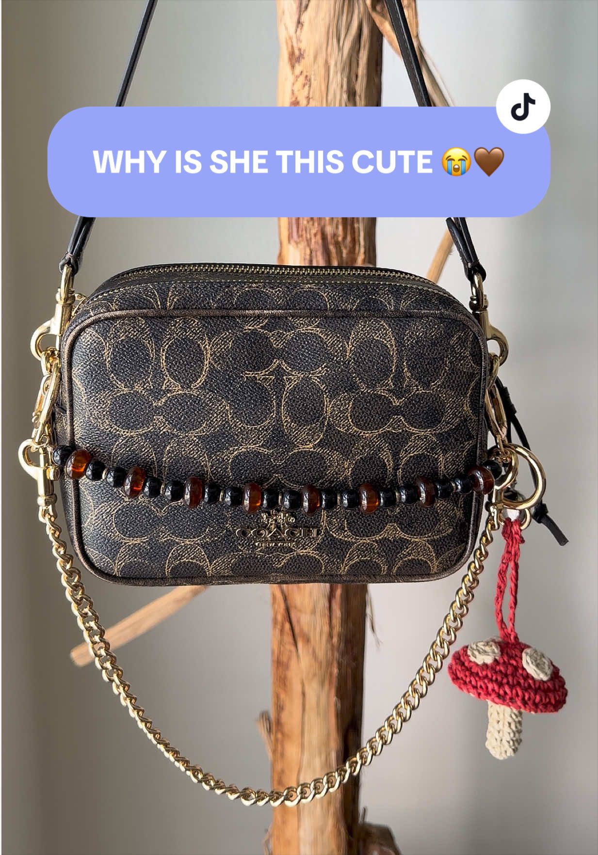 @Luxury Handbags | Coach Bags