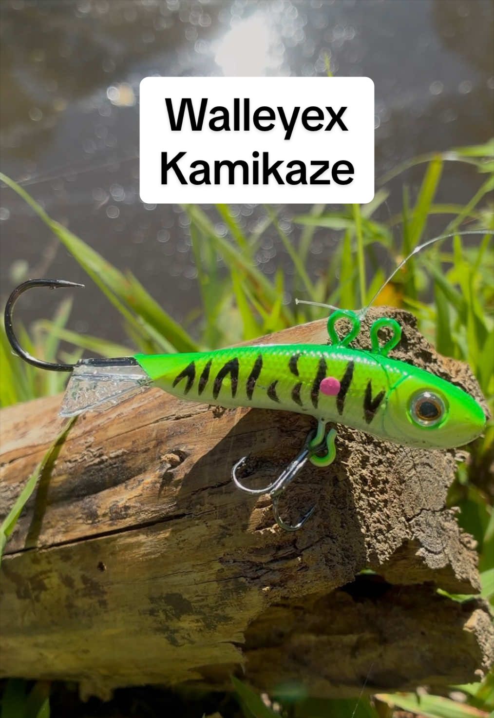 @Dunamis Angling