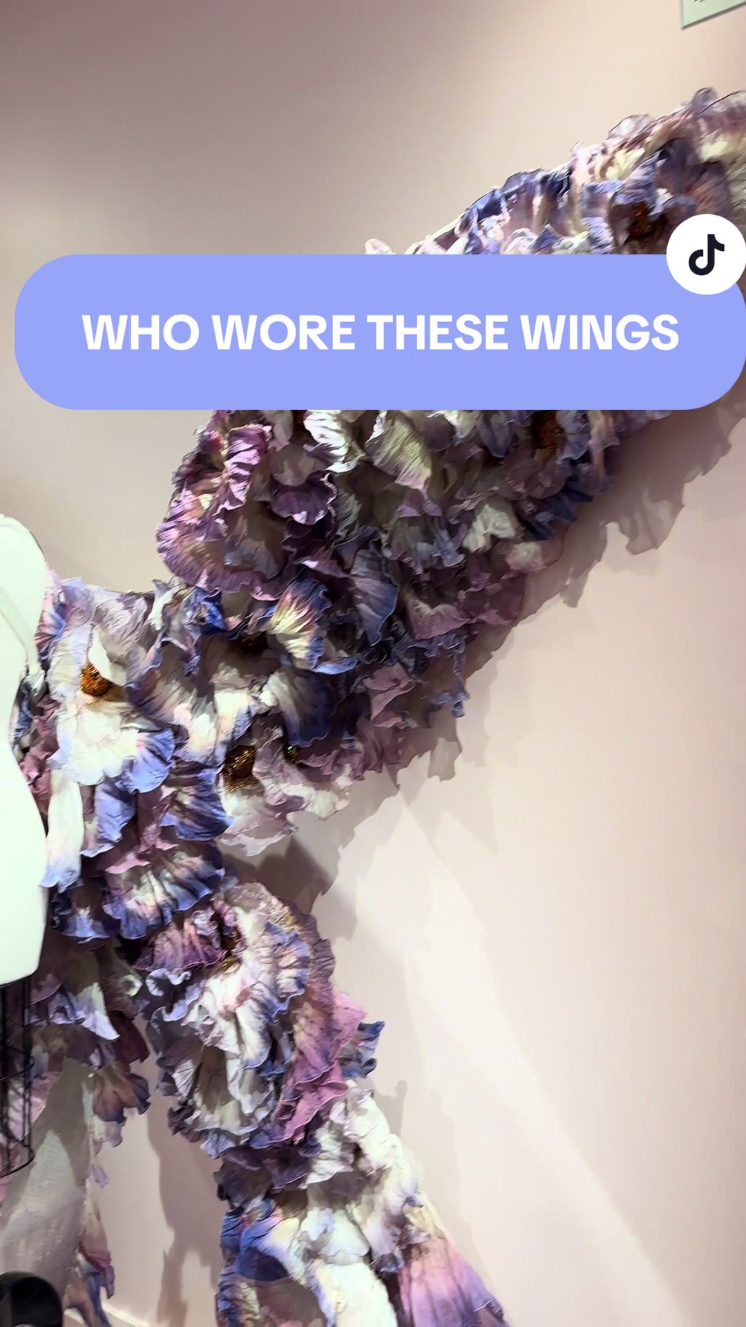 @Jenny Lazar