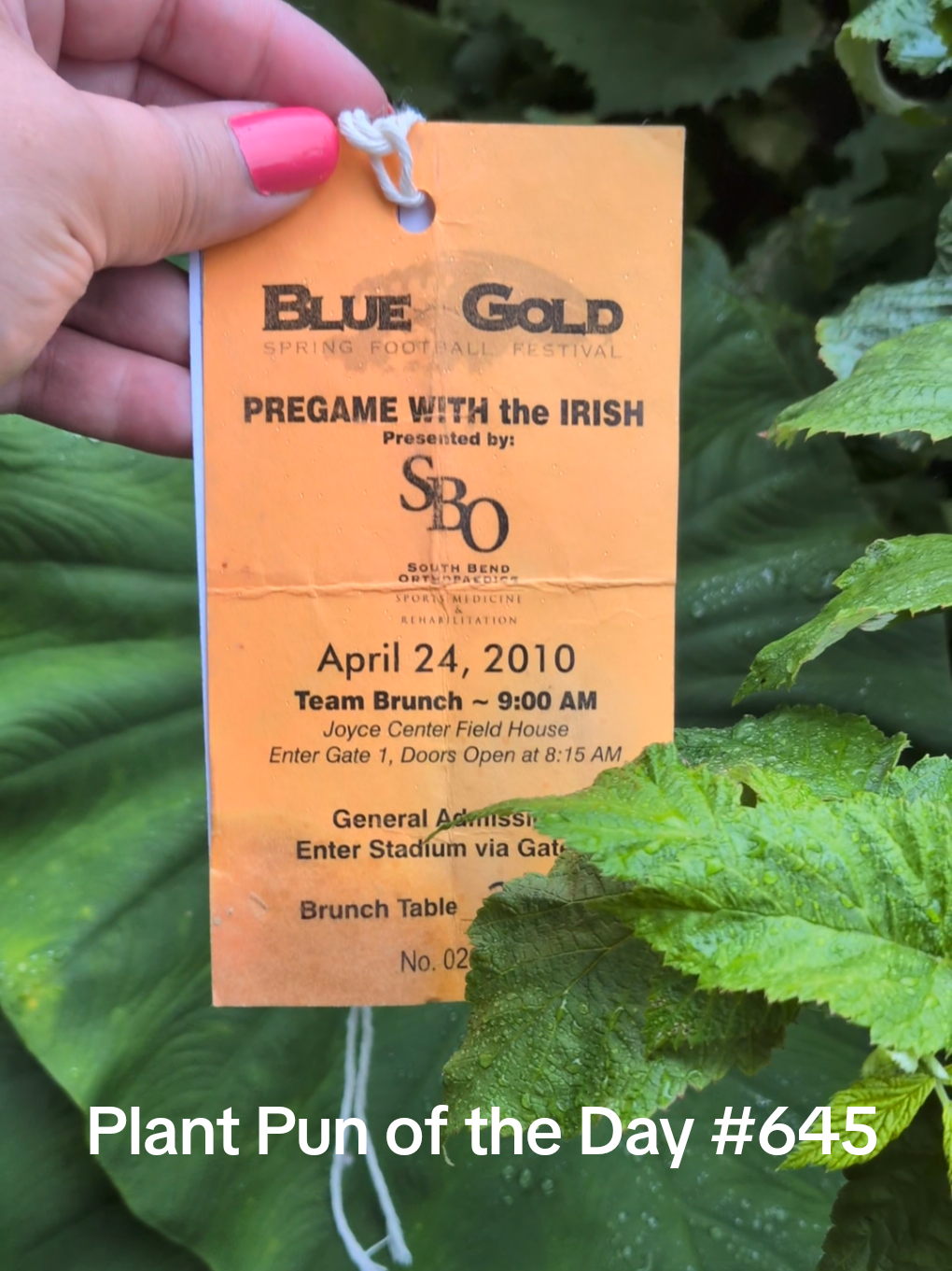 @The Plantiful Gardener