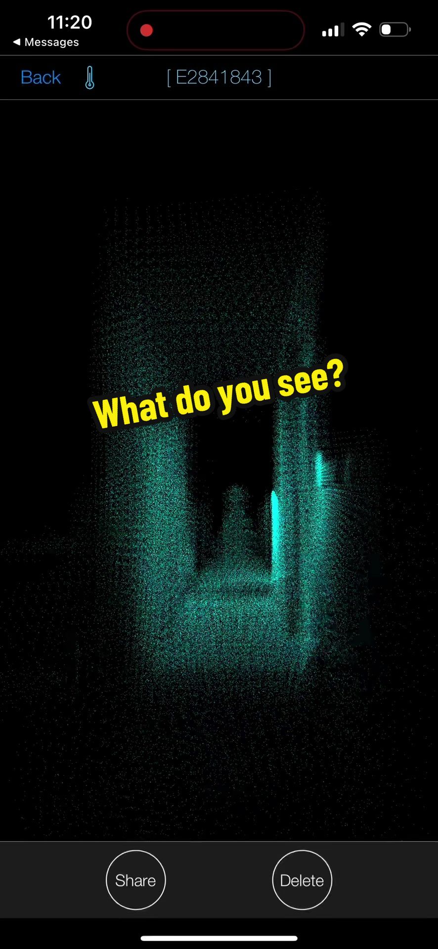 @Paranormal Peterson