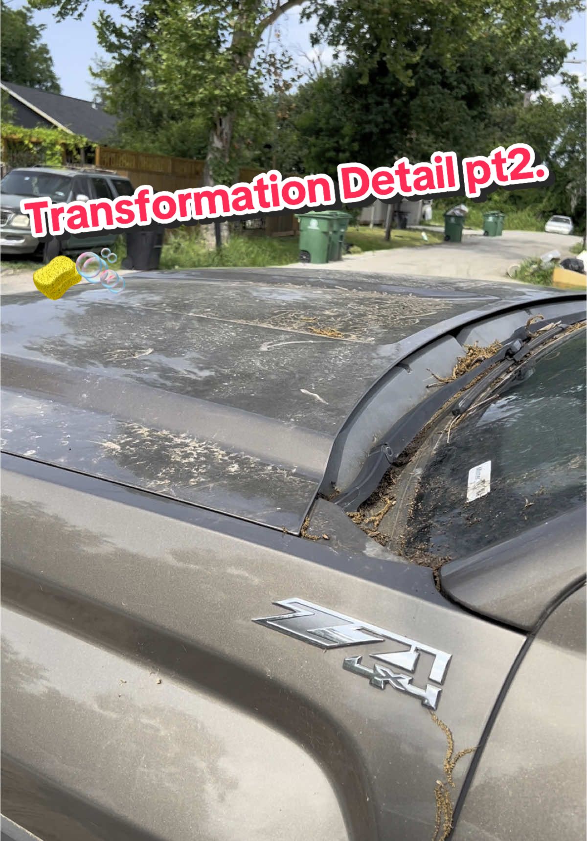 @713_detailing_