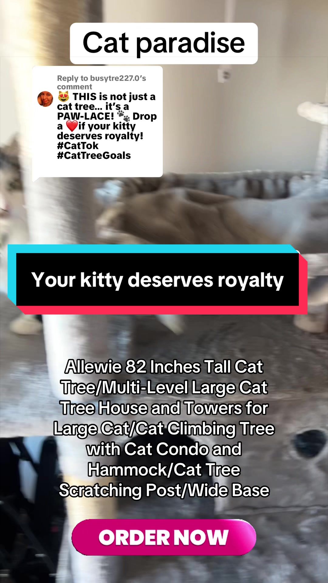 @busytre227.0