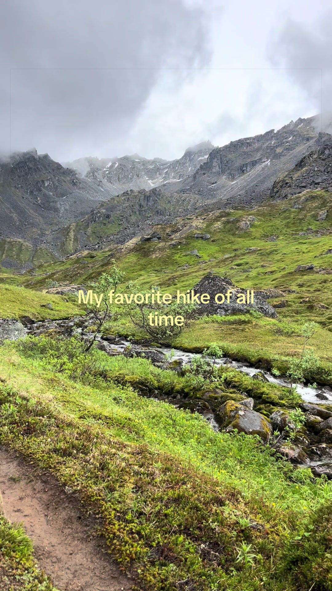 @Chasey Campbell 🏔️🕷️🐾