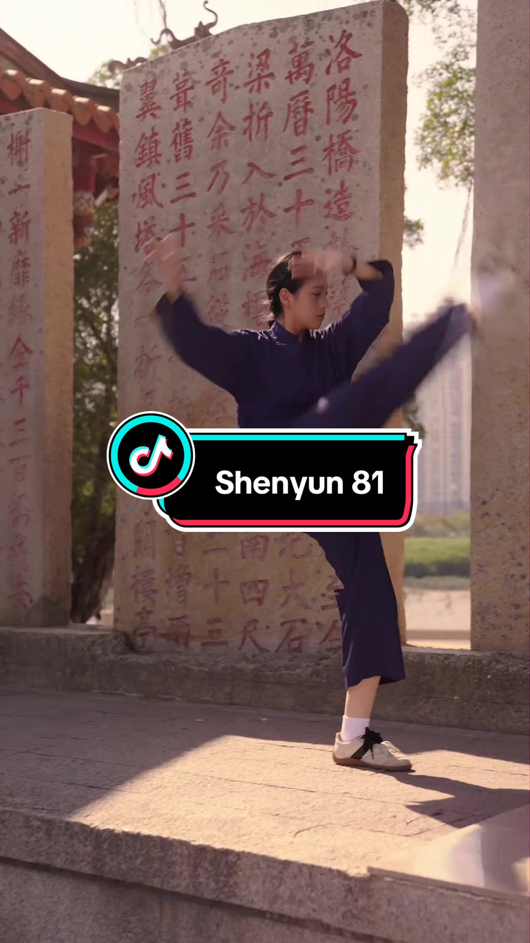 @kungfu shenyun