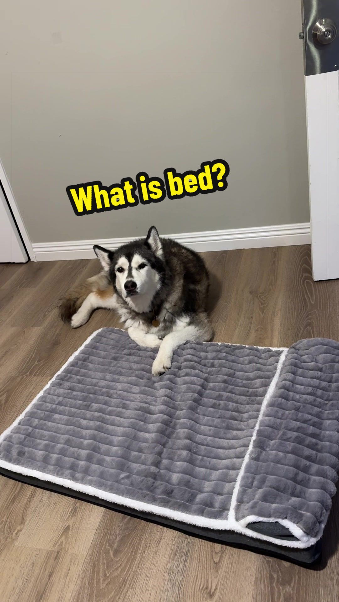@and Luna 🐺