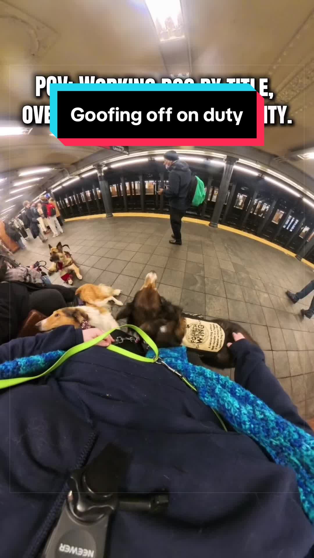 @Dakota & Pups