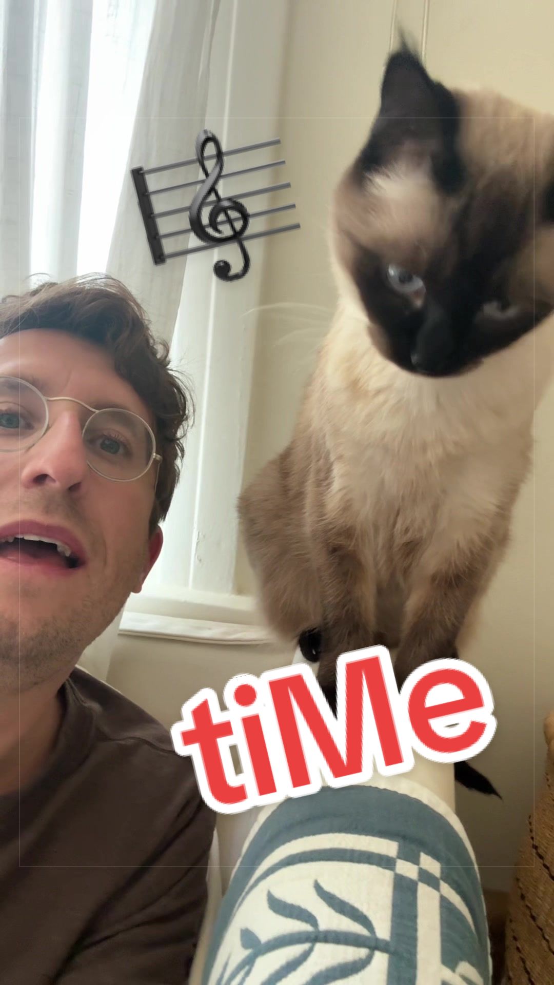 @Merv The Cat
