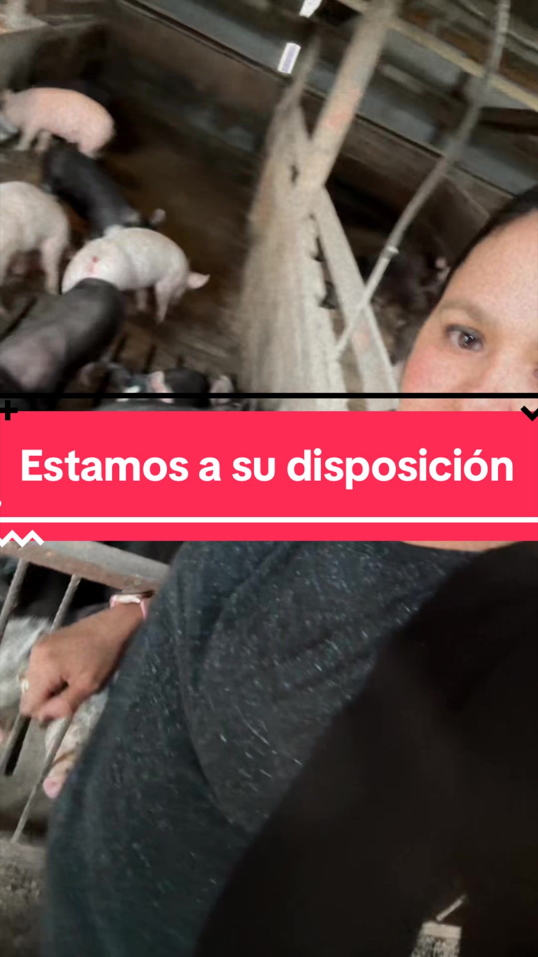 @cubanaporsiempreventas1