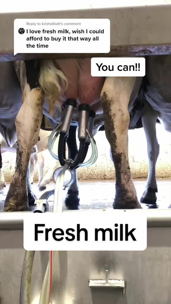 @Dairy Vet Dr. Michelle