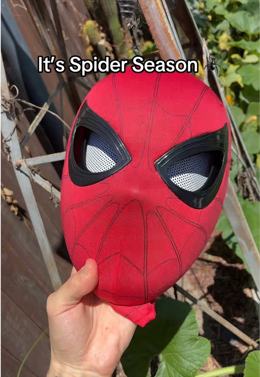 @PGWEBHEAD