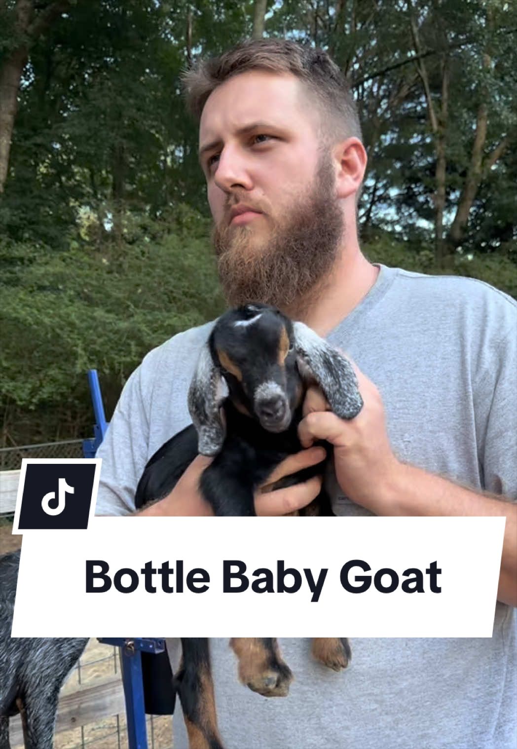 @Bandrhomestead