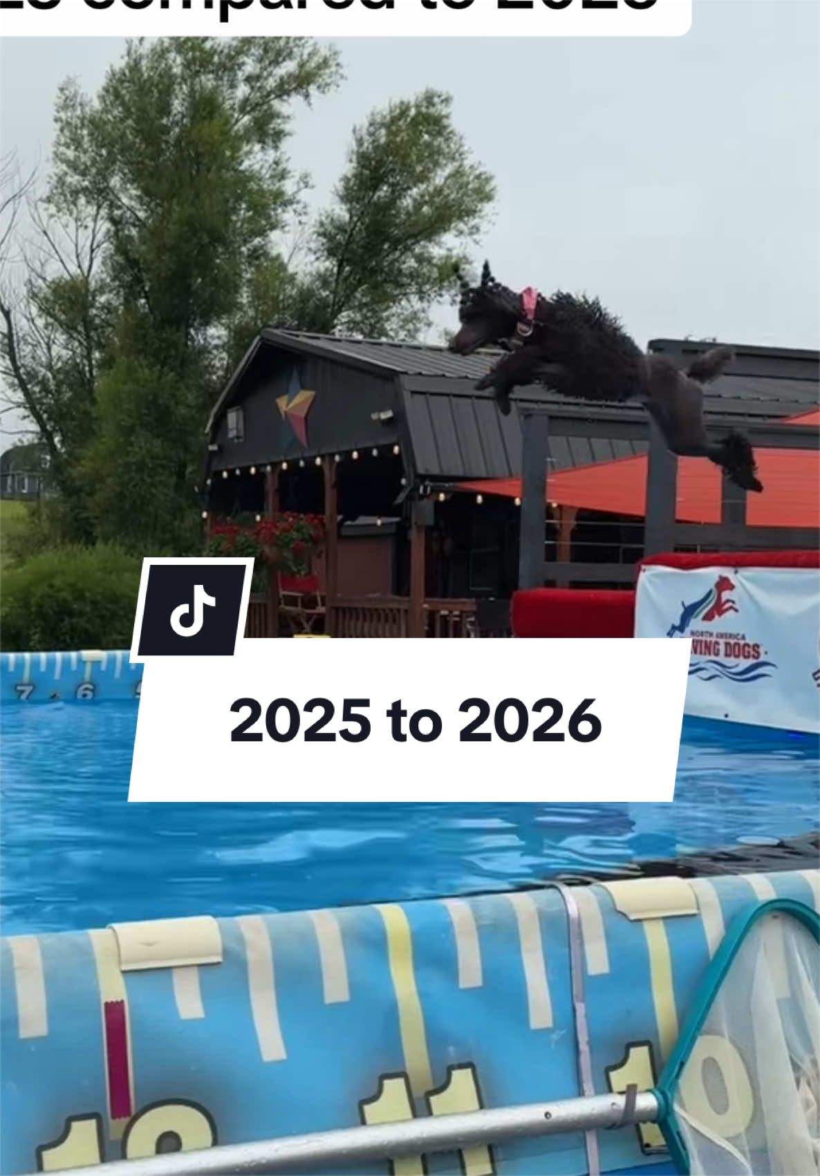 @Maddie, Jovie & Nessie🤍🤎🐩