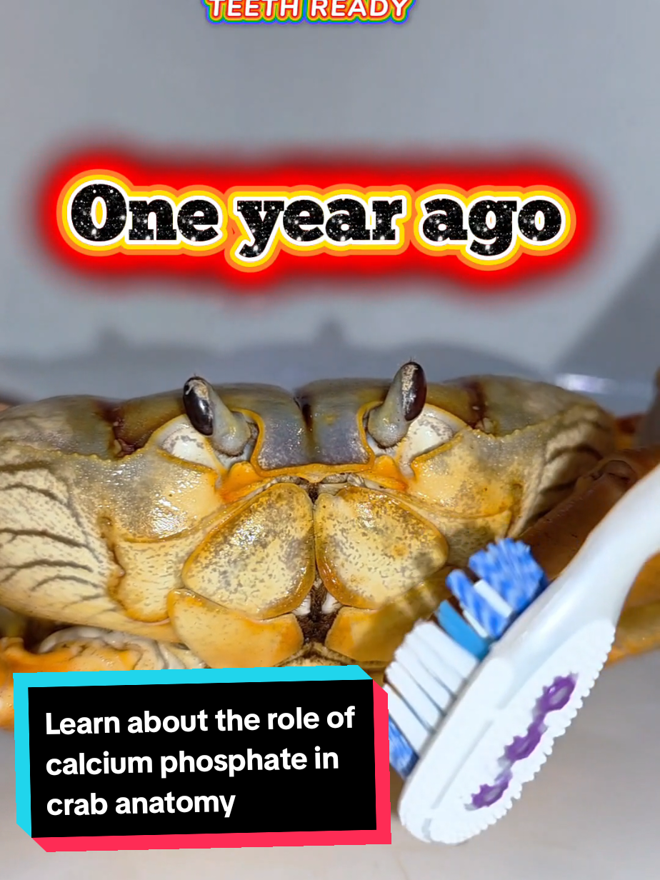 @Howie The Crab