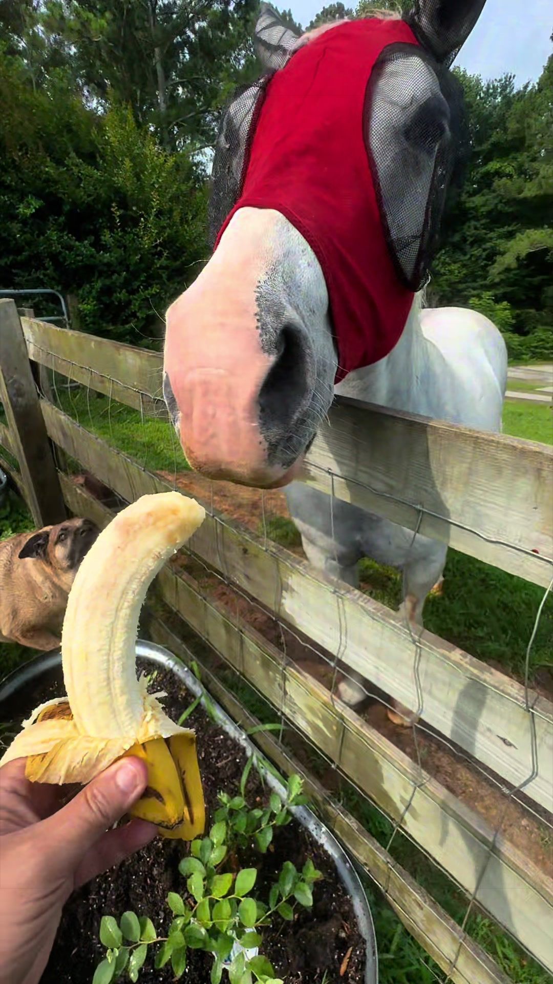 @Andersonacresfarmlife