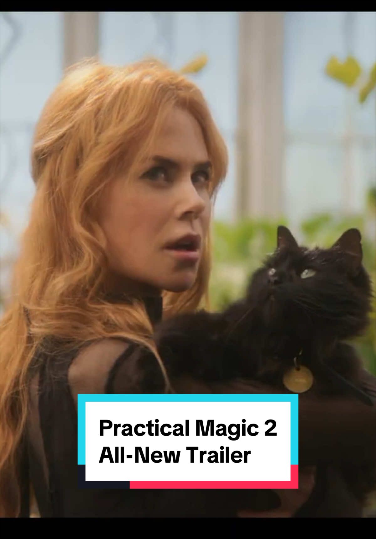@Rotten Tomatoes