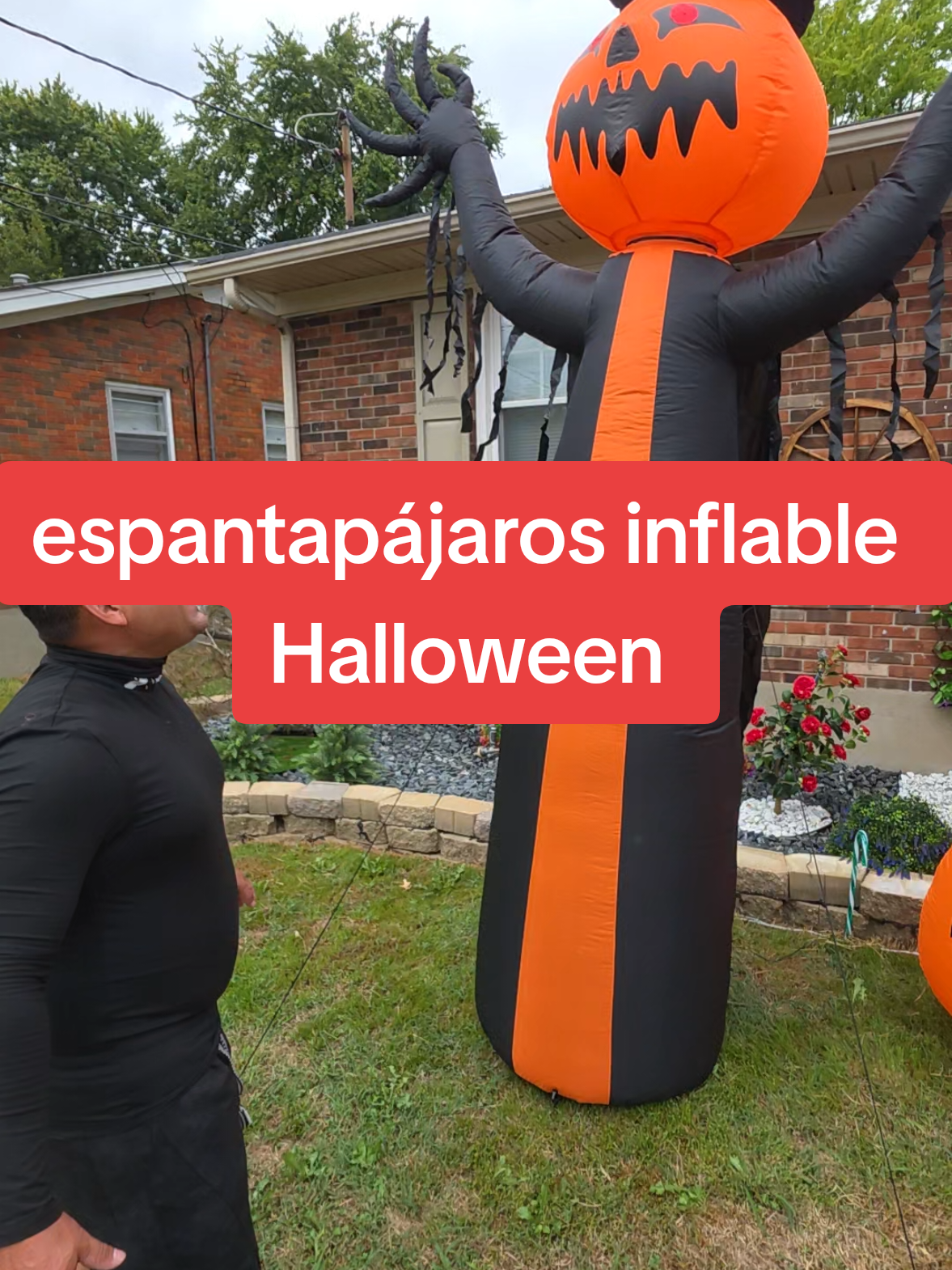 @Jorlin