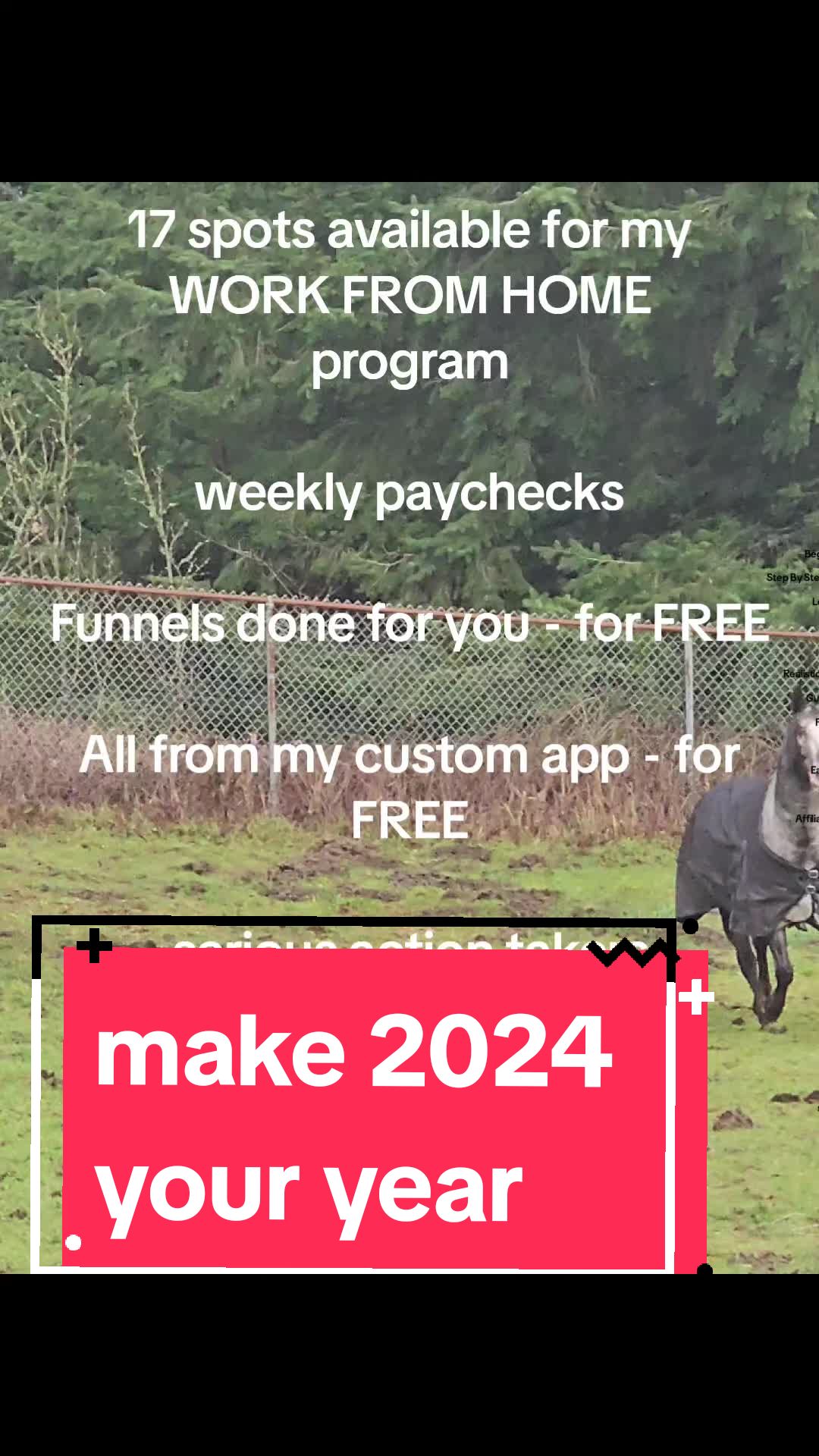 @TheMichaelZimmer