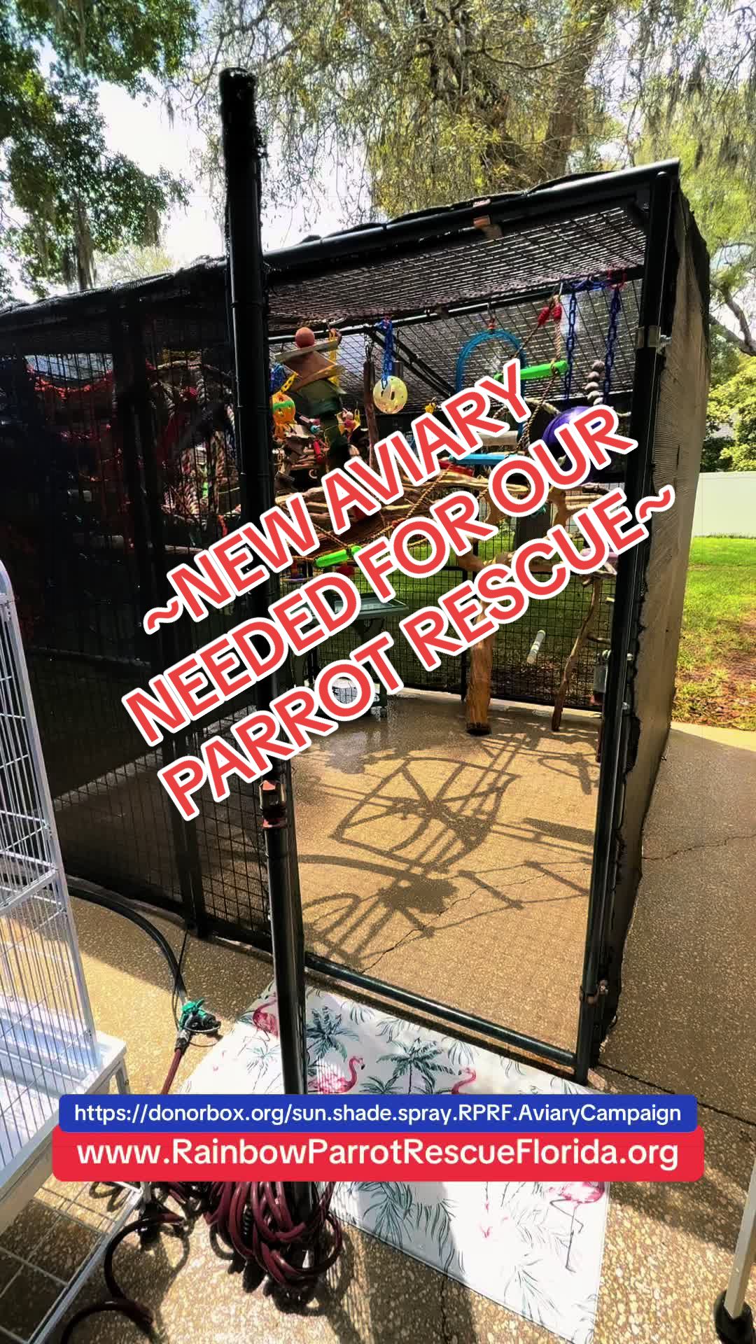 @RainbowParrotRescueFlorida