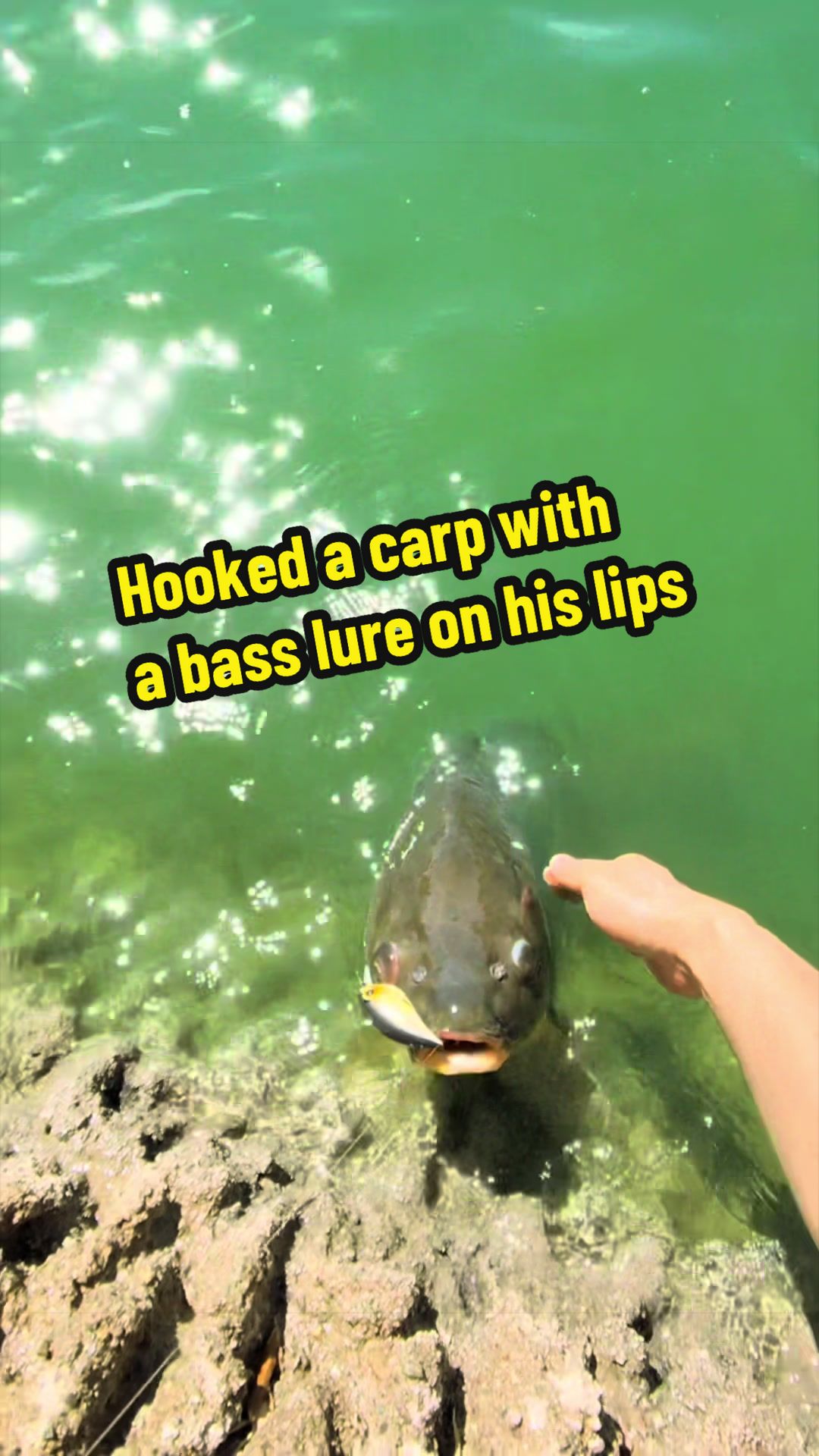 @Luu Nguyen Fishing