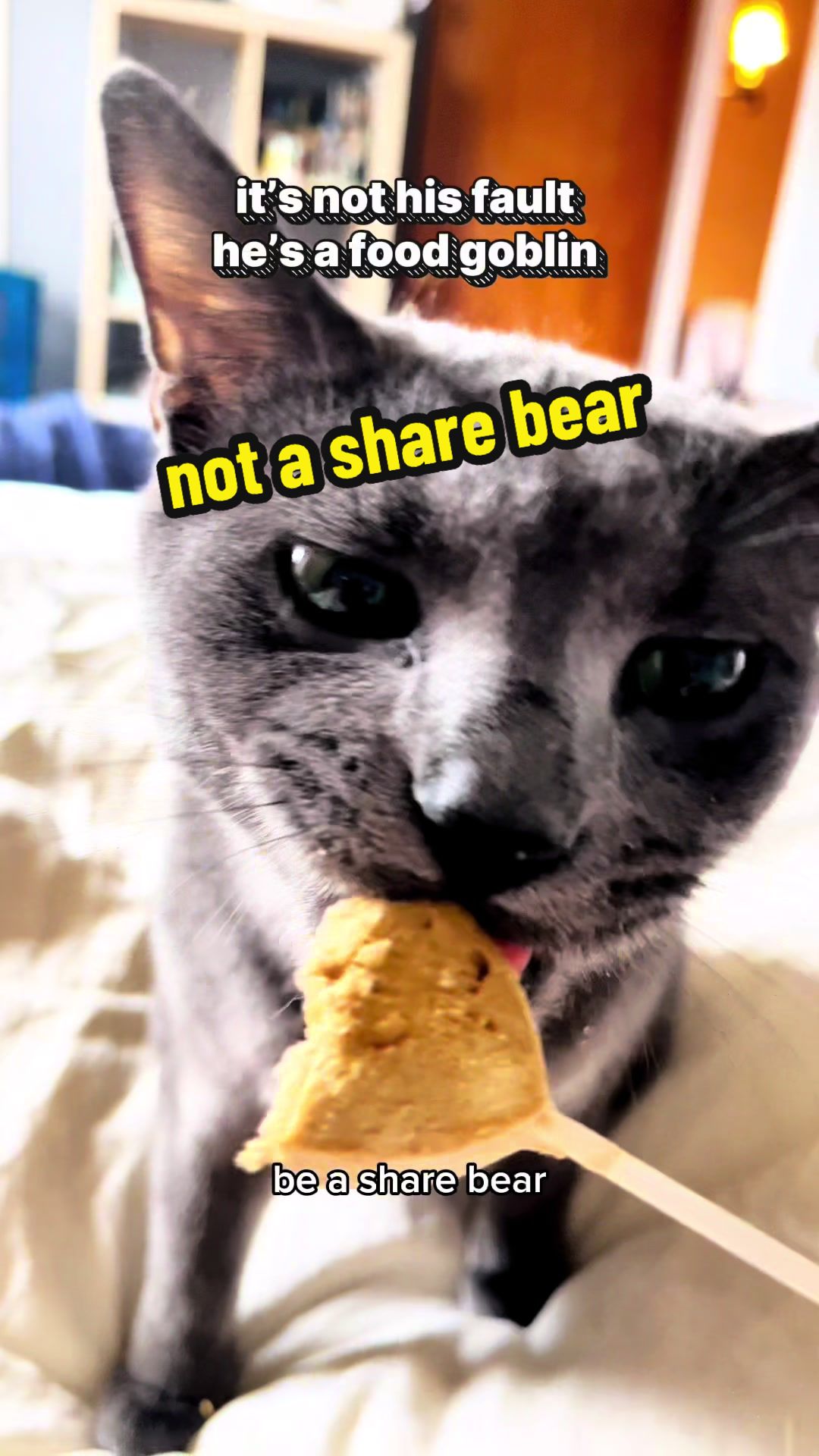 @NermalTCat