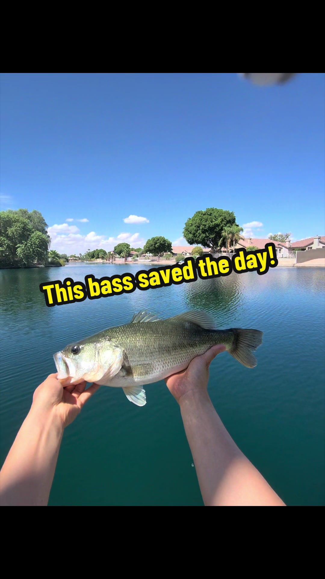 @Luu Nguyen Fishing