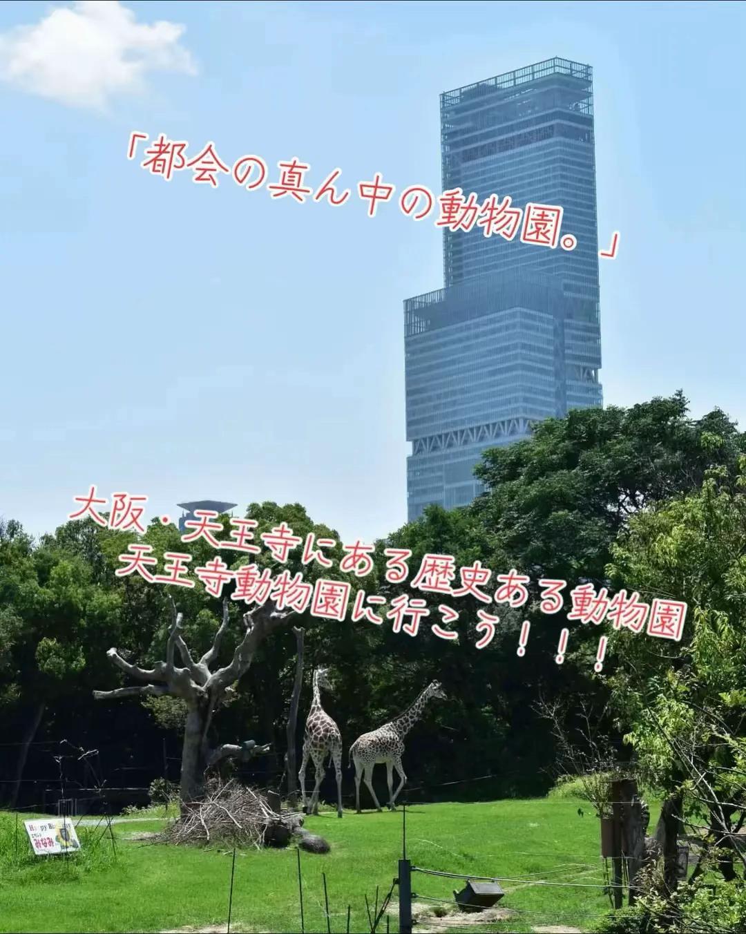 @闇夜の夜更かしバリトン