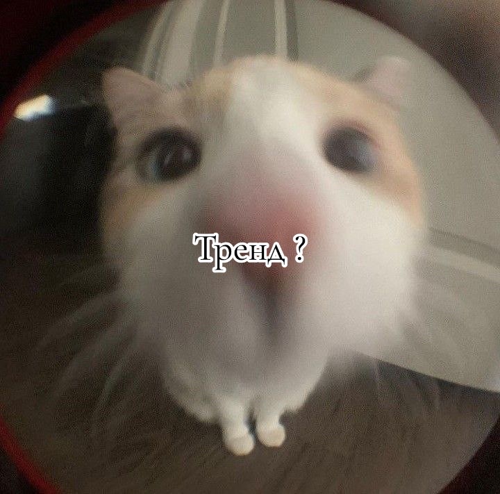 @#элиночка!💞