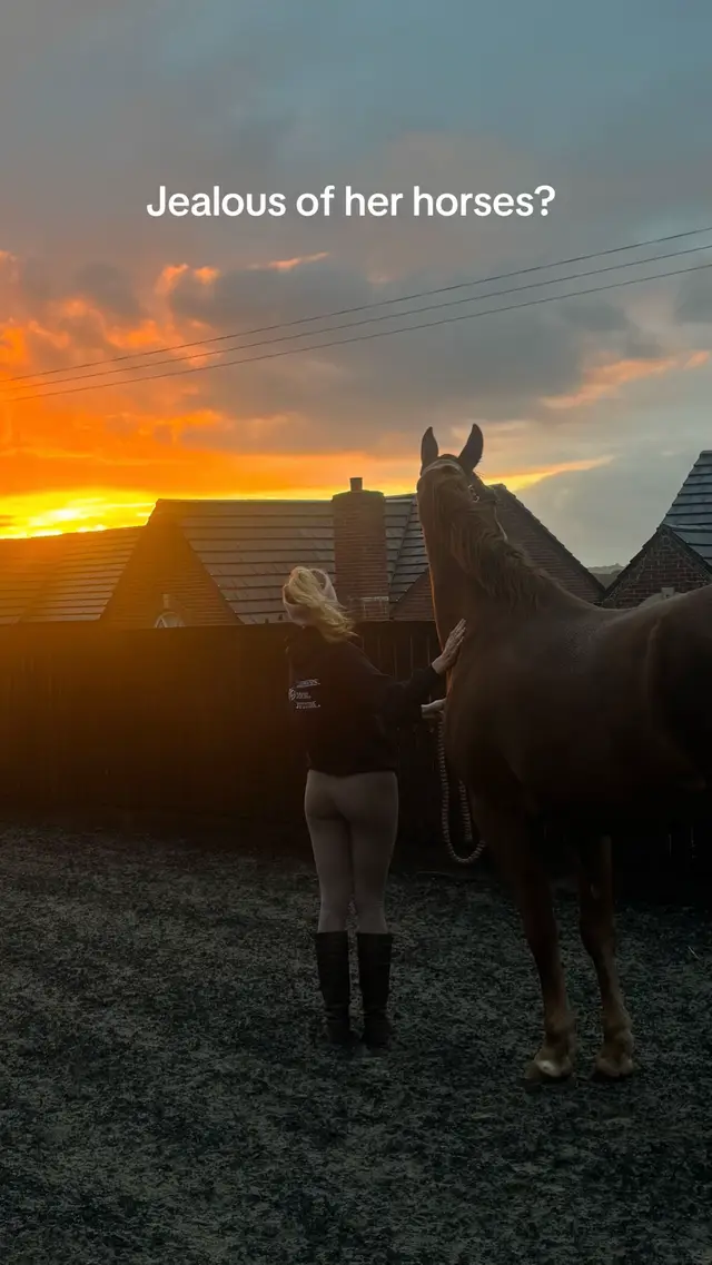 @Emily Hughes 🐴