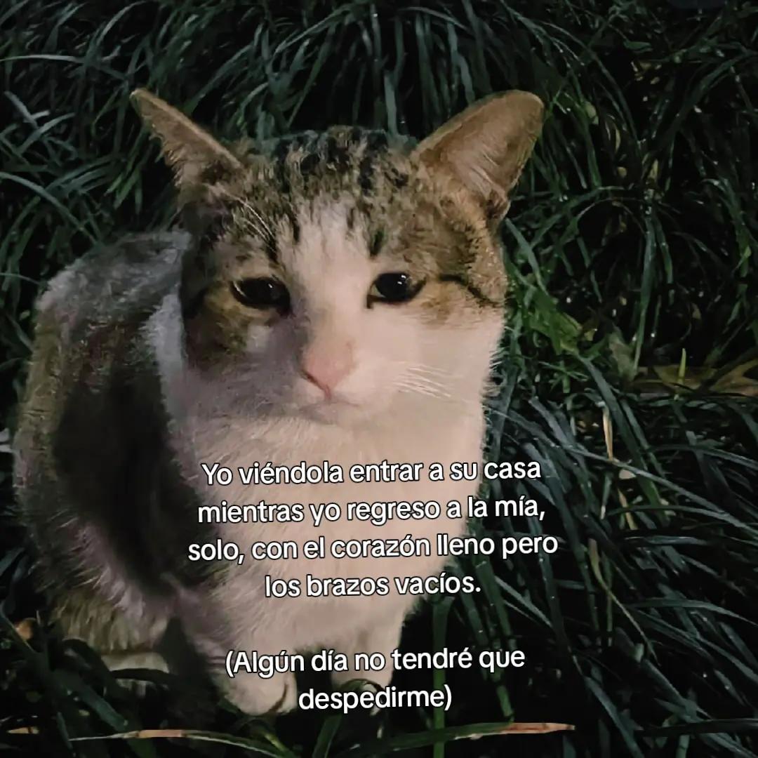 @crissparker