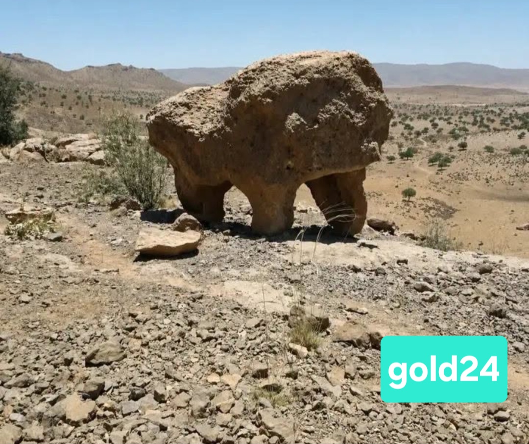 @gold 24