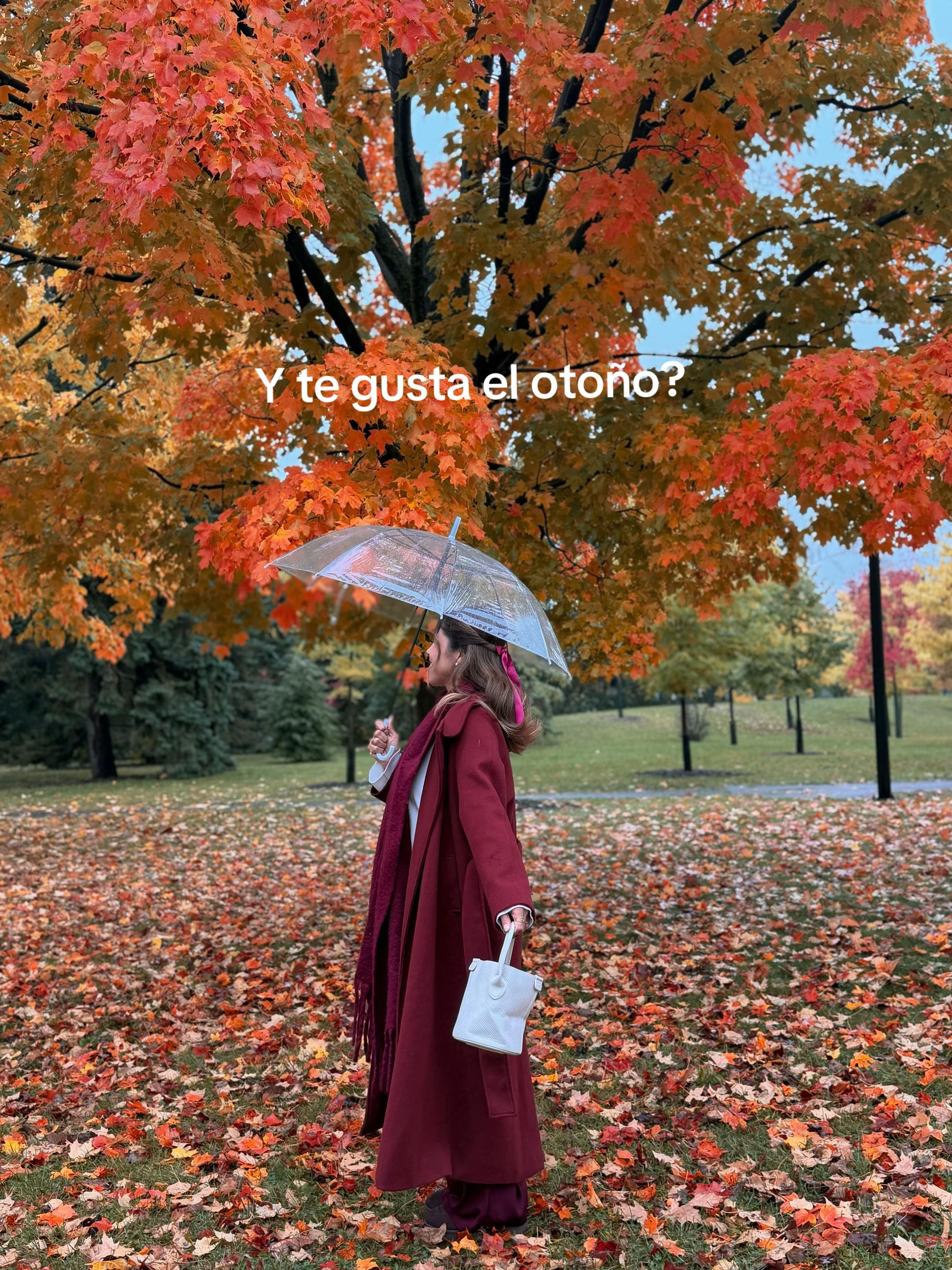 @Sandy Velázquez
