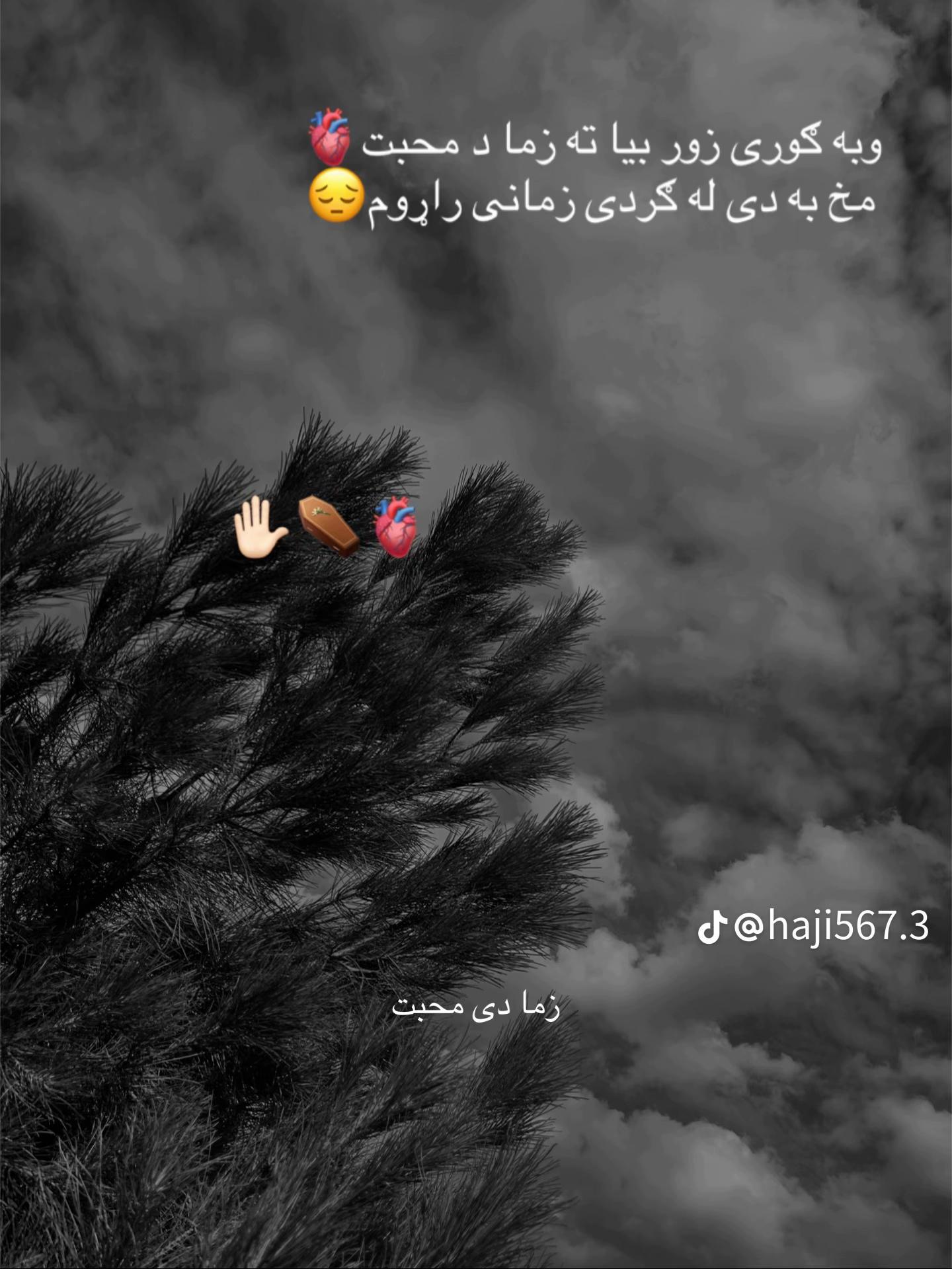 @🇦🇫Khalil 💫
