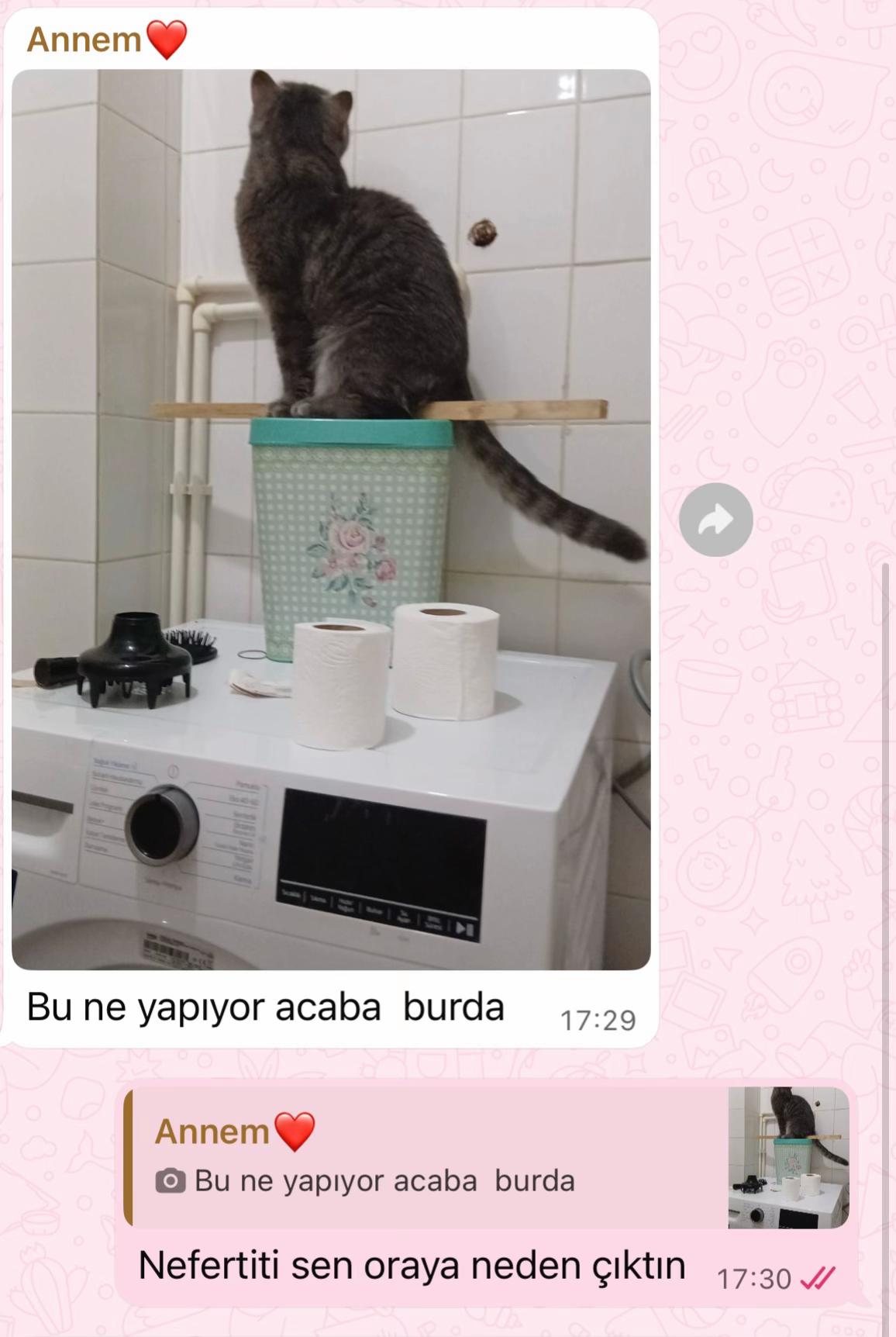 @Ebru Kızılyer