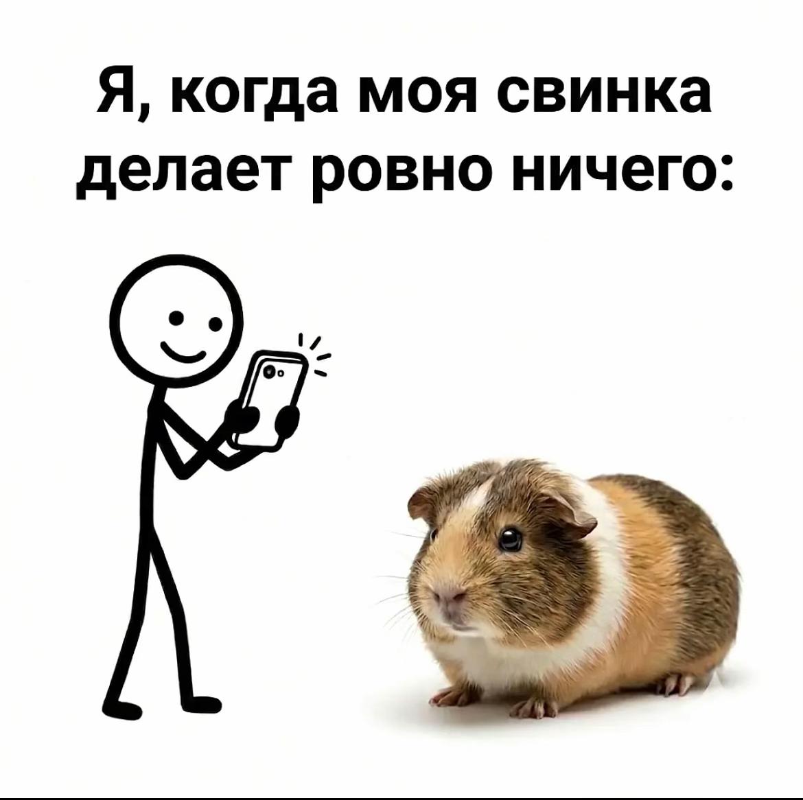 @veronichka🌷