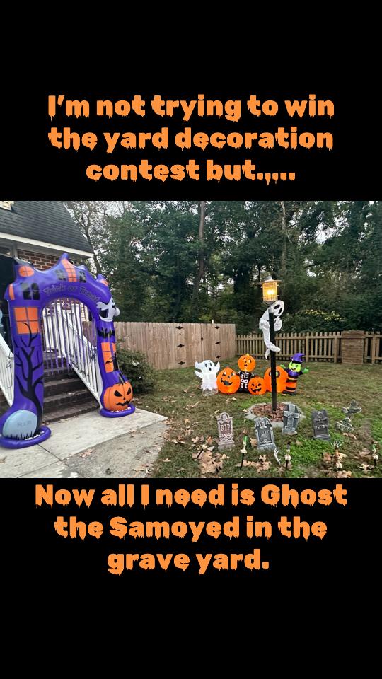 @Cindle_the_music_mom