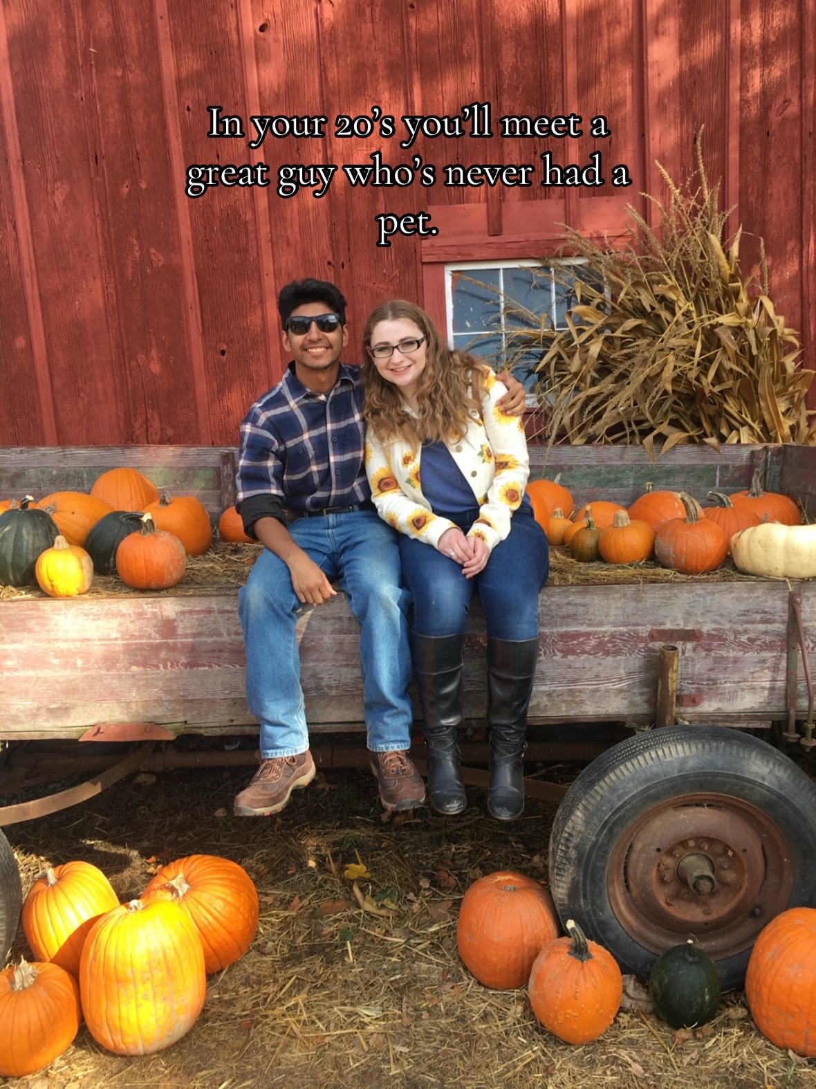@Megan 🦎 🐈