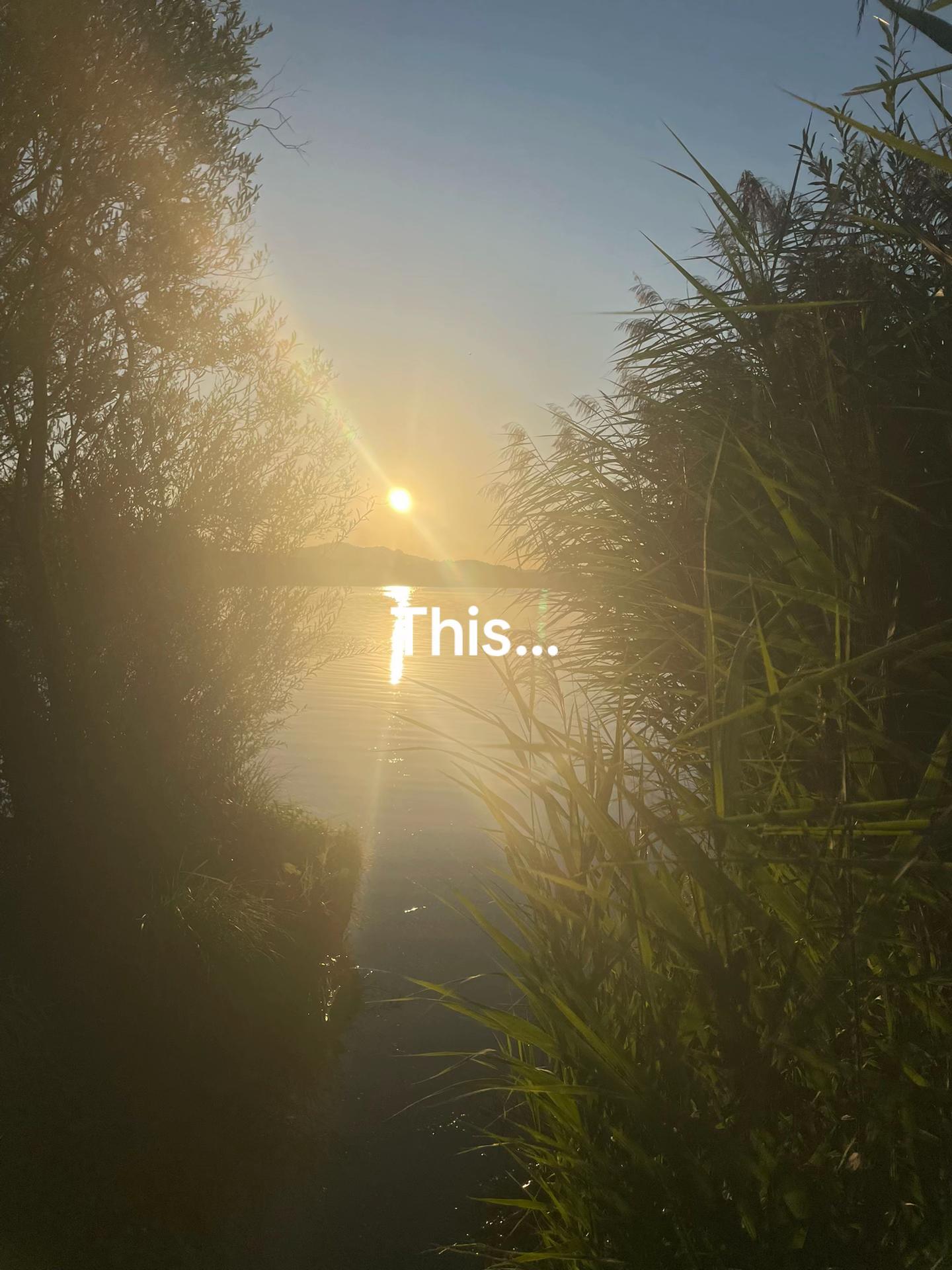 @quentin141.14