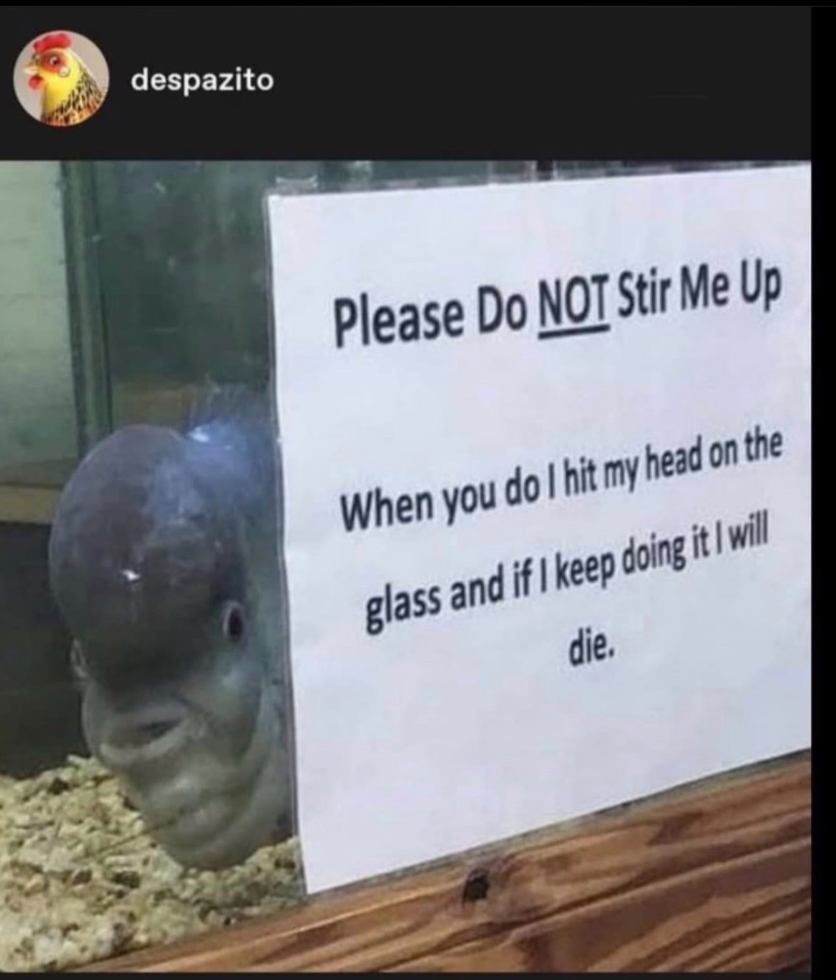 @Zach
