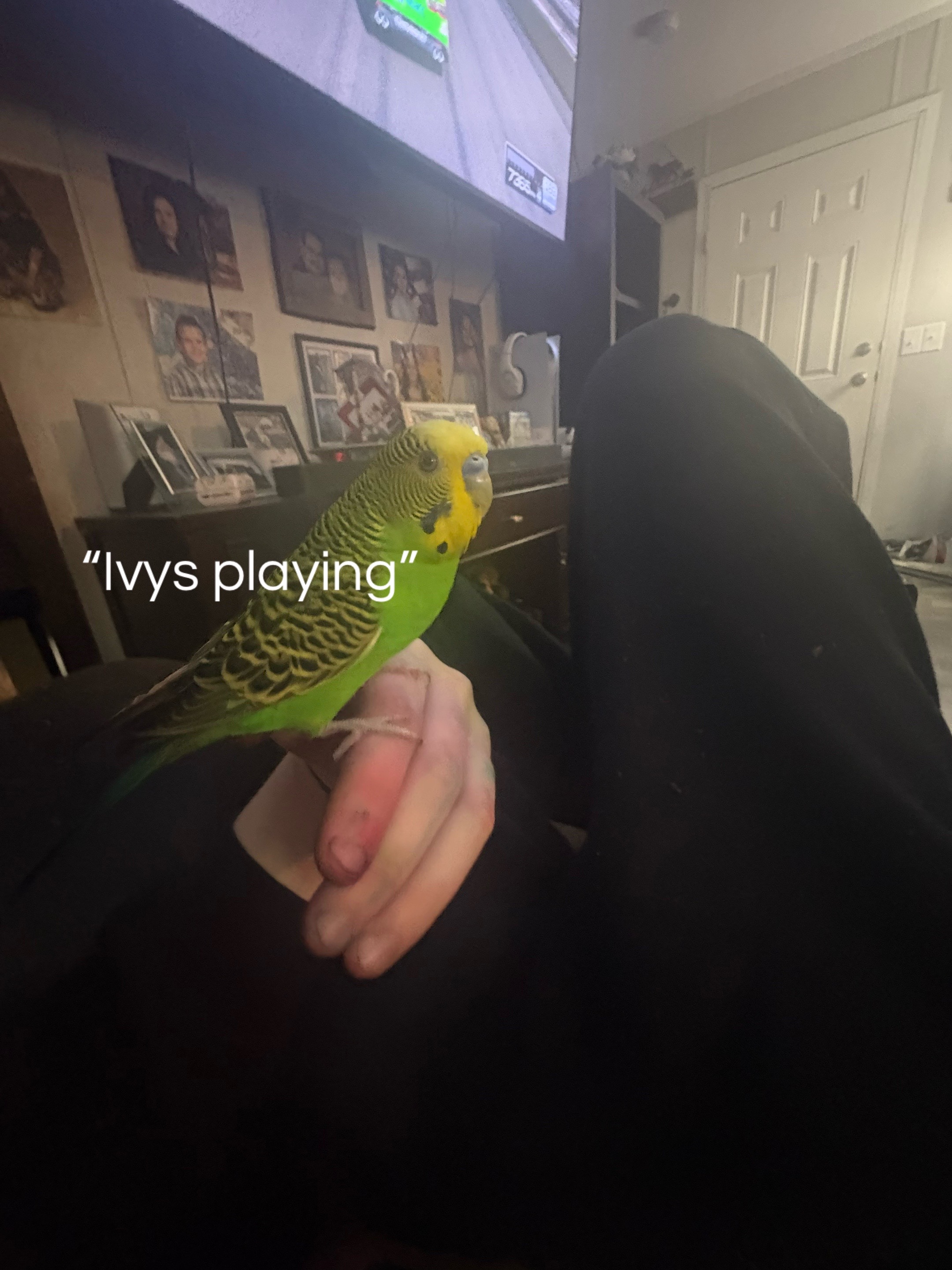 @𝜗ৎ 𝓉𝒶𝓎𝜗ৎ