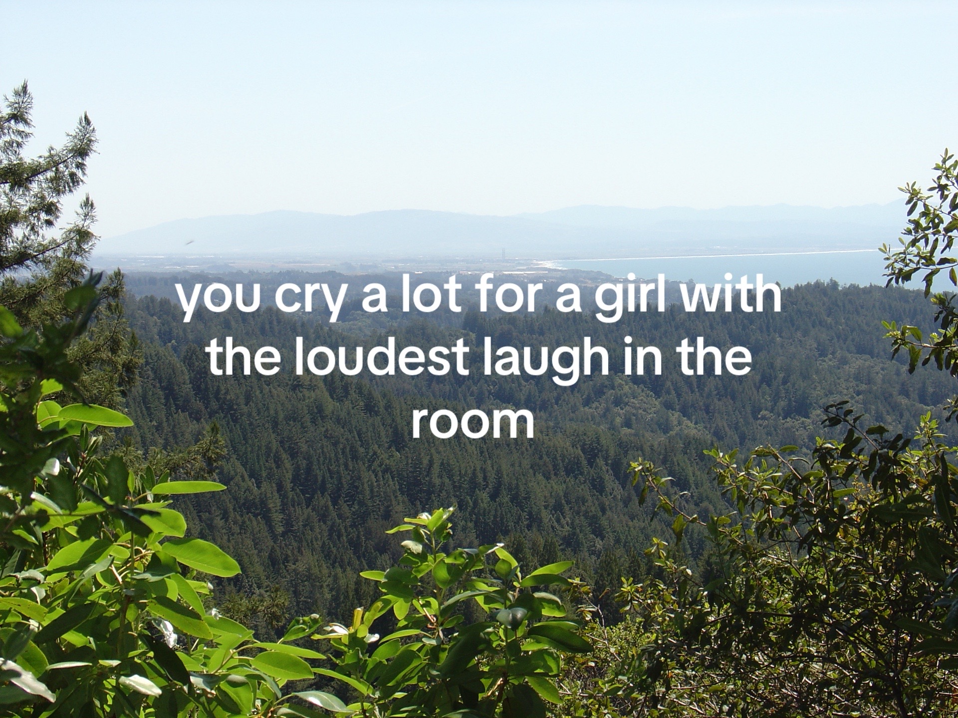 @lex