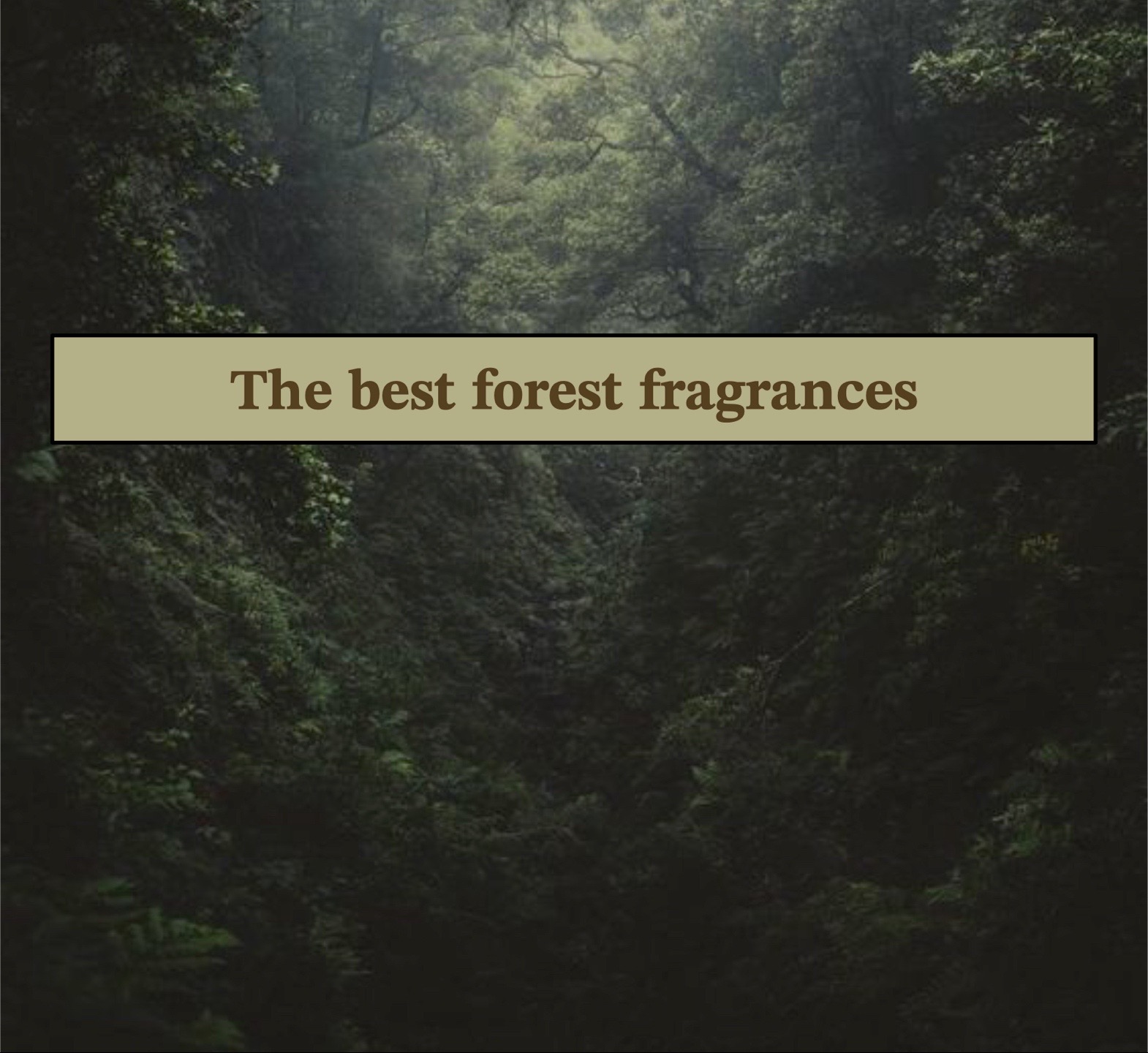 @gardenfragrances
