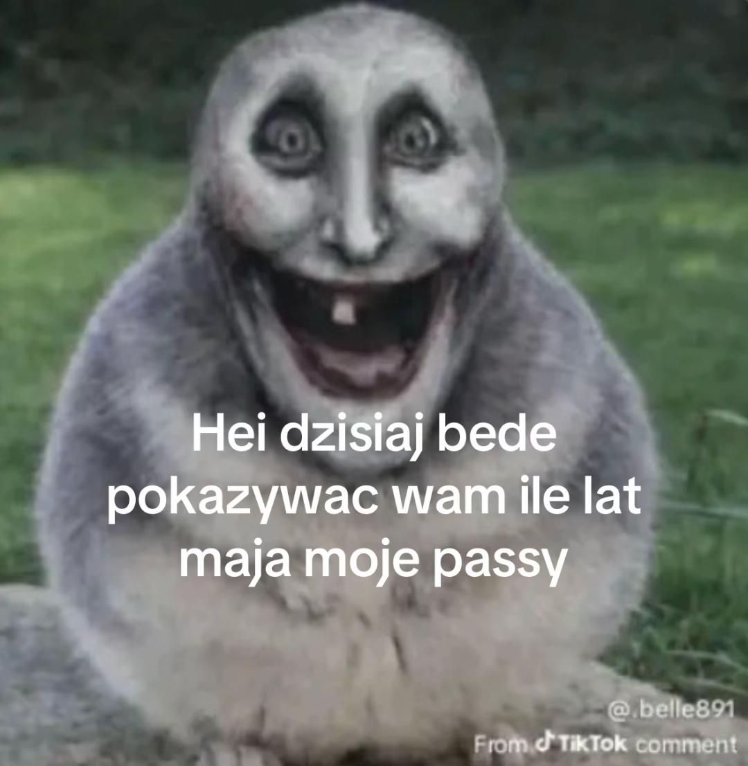 @Mialczykurwa⁷ | stan skz !