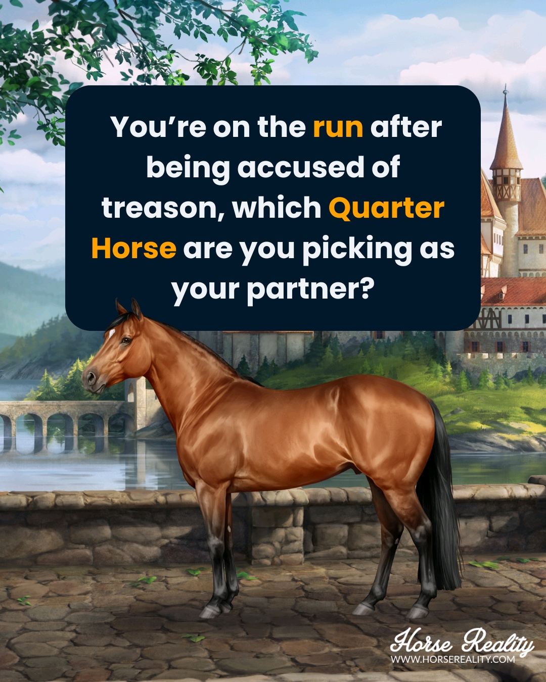@Horse Reality