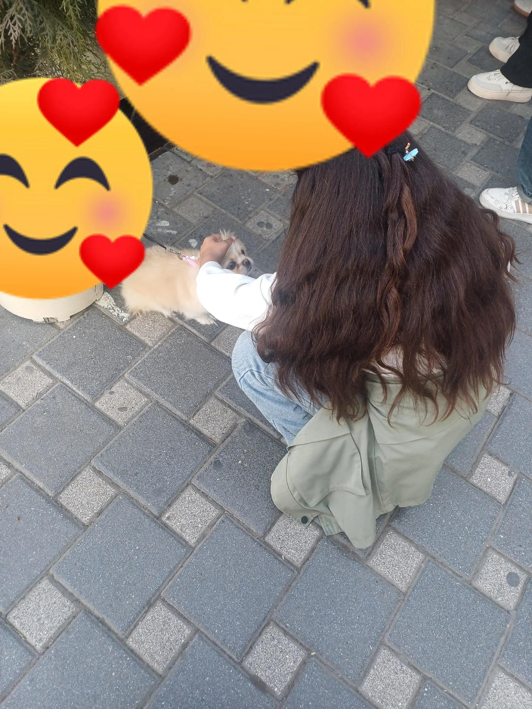 @deniz.o2o.