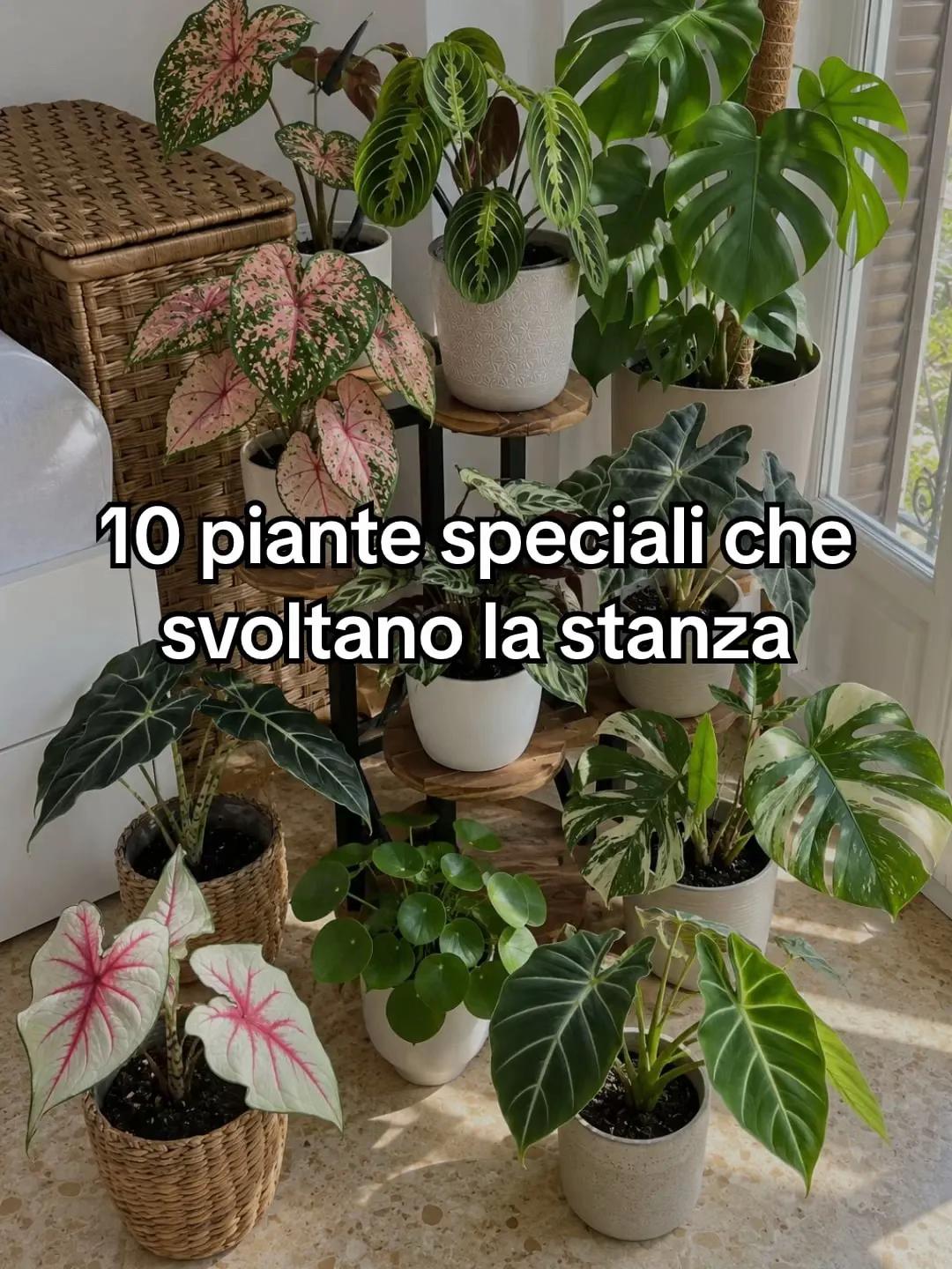 @Anna.dsantis