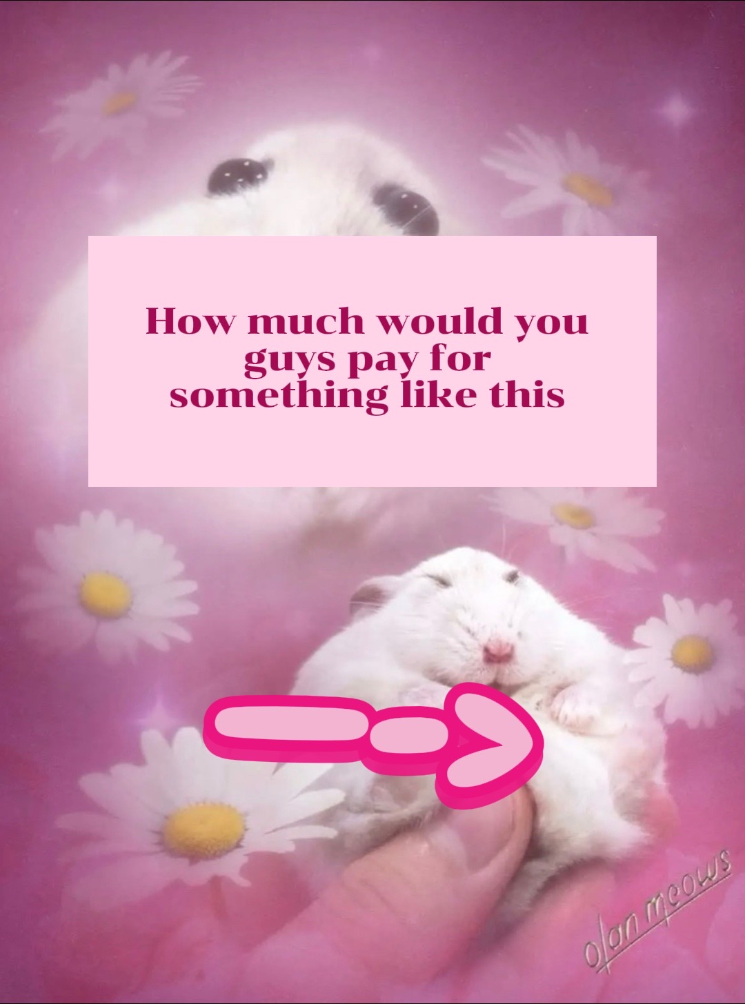 @NaibLunchBox