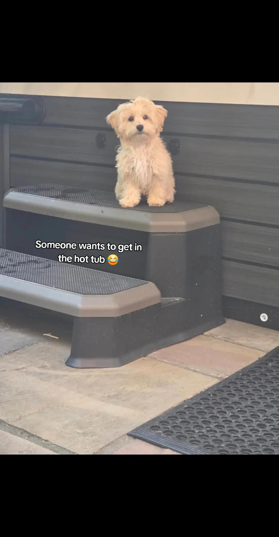 @Willow✨️
